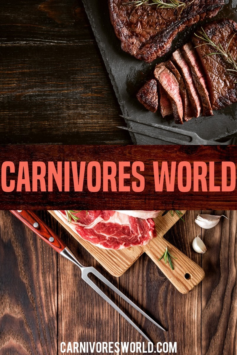 carnivores world lifestyle diet zero carb
